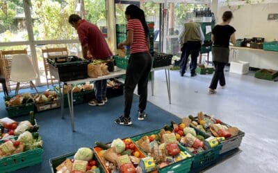More than a meal: How food co-ops can help you beat rising food costs