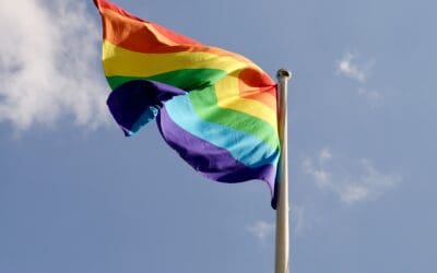 Surviving LGBTQ+ Homeless Crisis is “Luck of the Draw”