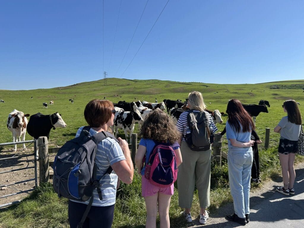 Participants of the Befriending project in a farm in front of a herd of cows.