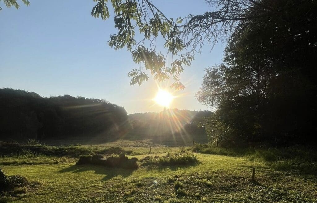 A landscape image of the green hillside with a blue sky. The branches from a tree are in frame and the sun is brightly shining. 