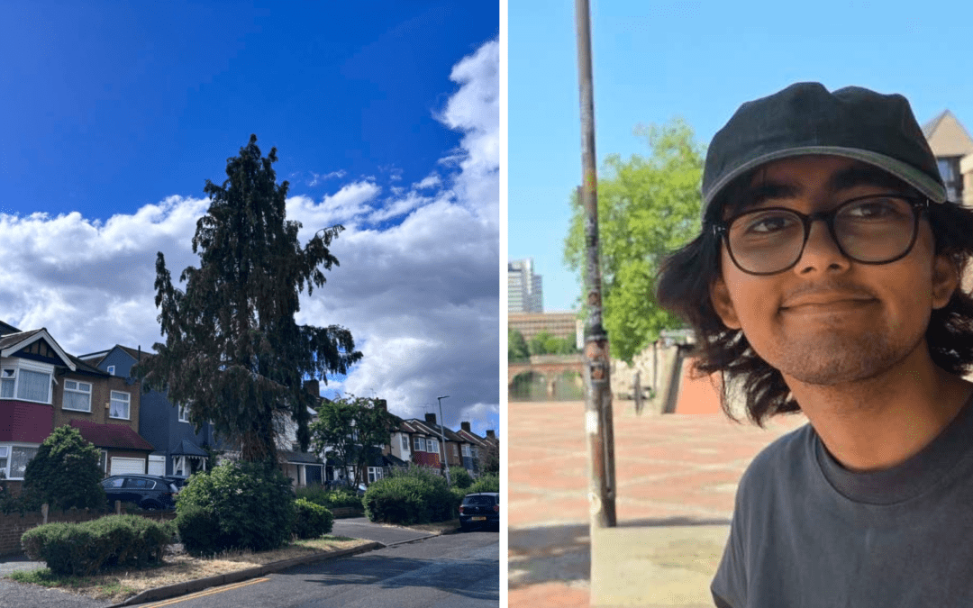 The tree at the end of the road: A man’s walk to recovery from chronic fatigue syndrome